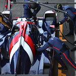 Flickr photo 22-DLPX8481