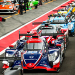 Flickr photo 22-A27I8381