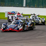 Flickr photo UA - 23 - BG - 10786