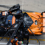 Flickr photo 59-7B1A8894