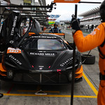 Flickr photo 95-7B1A9512