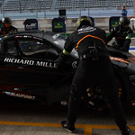 Flickr photo 95-0Q3A4229