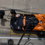 Flickr photo 59-7B1A9025