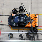 Flickr photo 95-7B1A8704