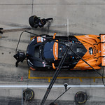 Flickr photo 59-7B1A9048