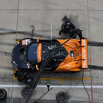 Flickr photo 59-7B1A9087