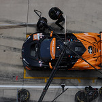 Flickr photo 59-7B1A9039