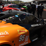 Flickr photo 95-7B1A6175