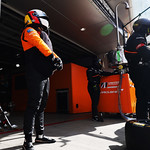 Flickr photo 95-MS-0Q3A2584