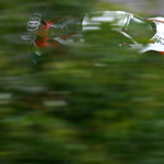 Matt Bell/Michael Guasch - United Autosports Audi R8 GT3© Jakob Ebrey