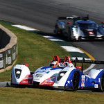 Flickr photo United_Autosports_Petit-01