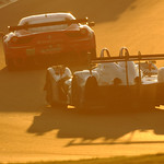 Flickr photo United_Autosports_Petit-49