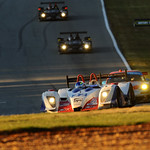 Flickr photo United_Autosports_Petit-109