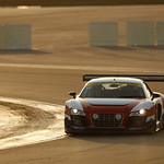 Flickr photo _LP_9356