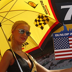 Flickr photo _LP_0274