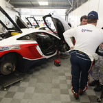 Flickr photo Brown_15