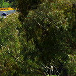 Flickr photo b12013-02424