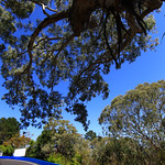 Flickr photo b12013-01737