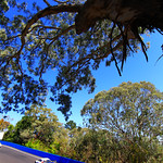 Flickr photo b12013-01613