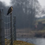 Flickr photo United Oulton Park test March 5th 2013 11
