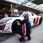 Flickr photo Dagys_ 2012_23629