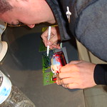 Flickr photo DSC03909