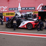 Flickr photo DSC03804