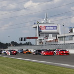 Flickr photo _MG_6955